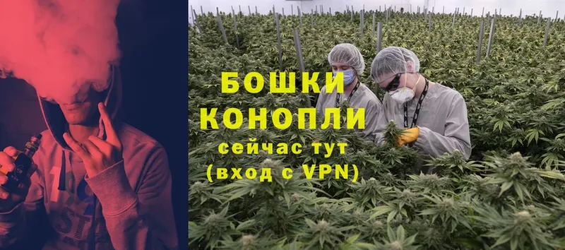 мега вход  купить  цена  Абинск  Бошки Шишки LSD WEED 